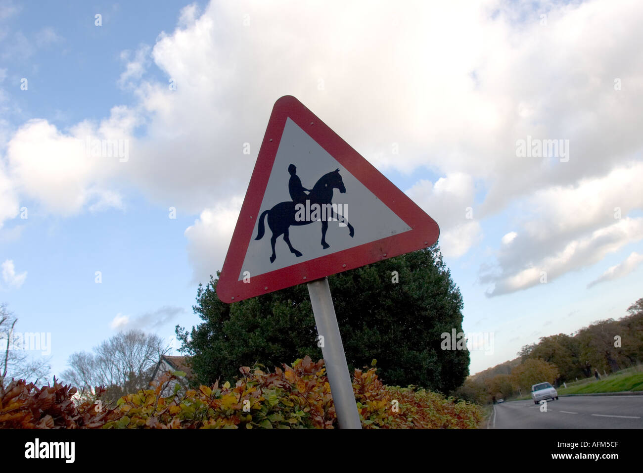 Road traffic warning sign beware horse and riders Stock Photo - Alamy