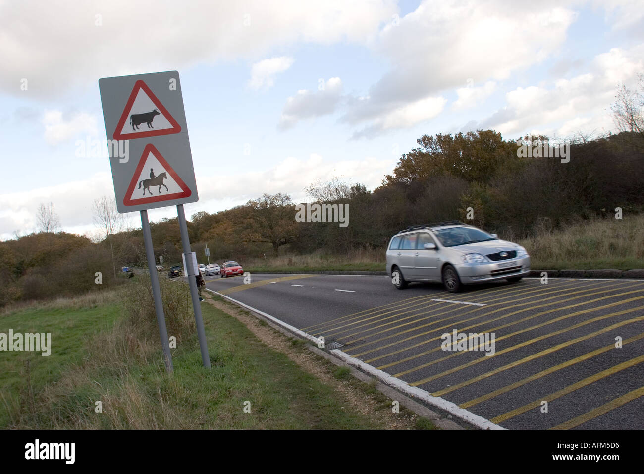 Road traffic warning sign beware cattle and horse riders Stock Photo ...