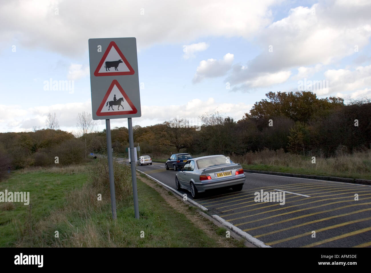 Road traffic warning sign beware cattle and horse riders Stock Photo ...