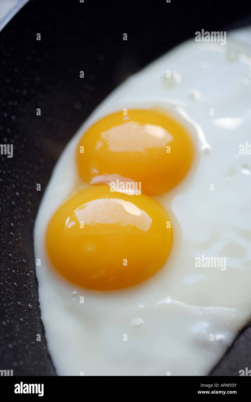 DOUBLE YOKE FRIED EGG IN FRYING PAN Stock Photo Alamy