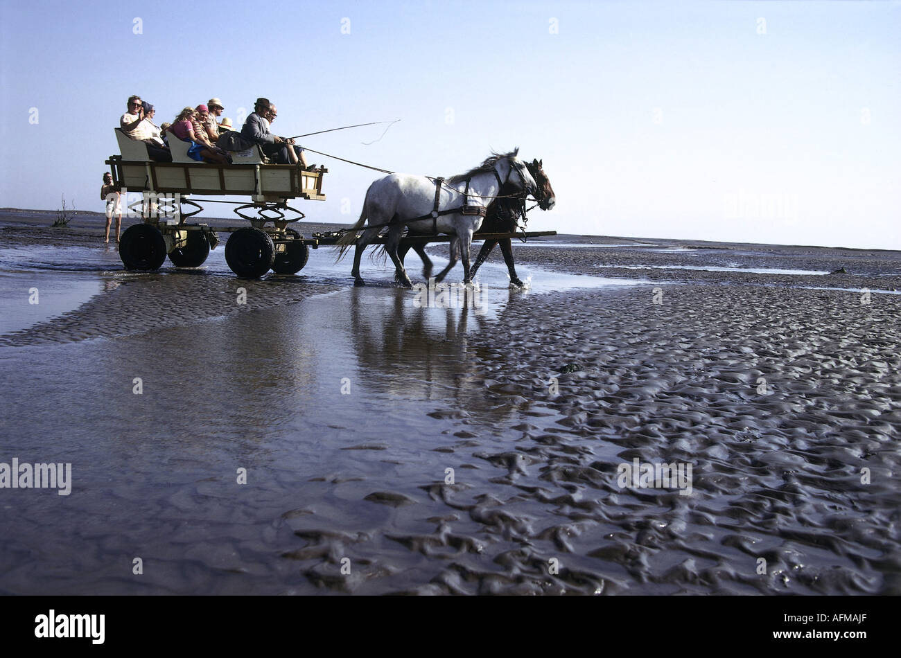 tourism, Germany, Lower Saxony, tourist in a coach, mudflat between Cuxhaven & Neuwerk, 1975, Stock Photo