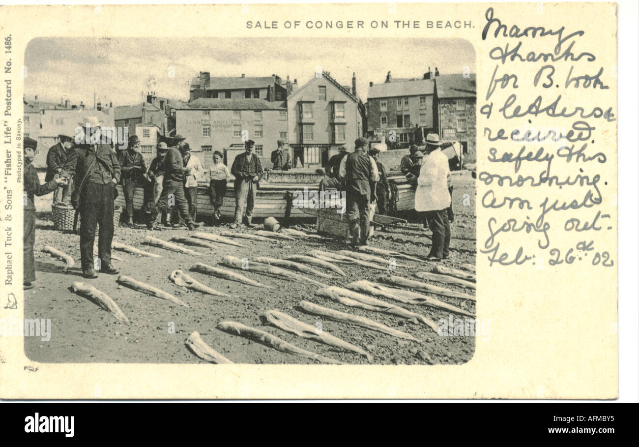 Greeting postcard 'Sale of Conger on the beach' postally used 1902 from Penzance, Cornwall] Stock Photo