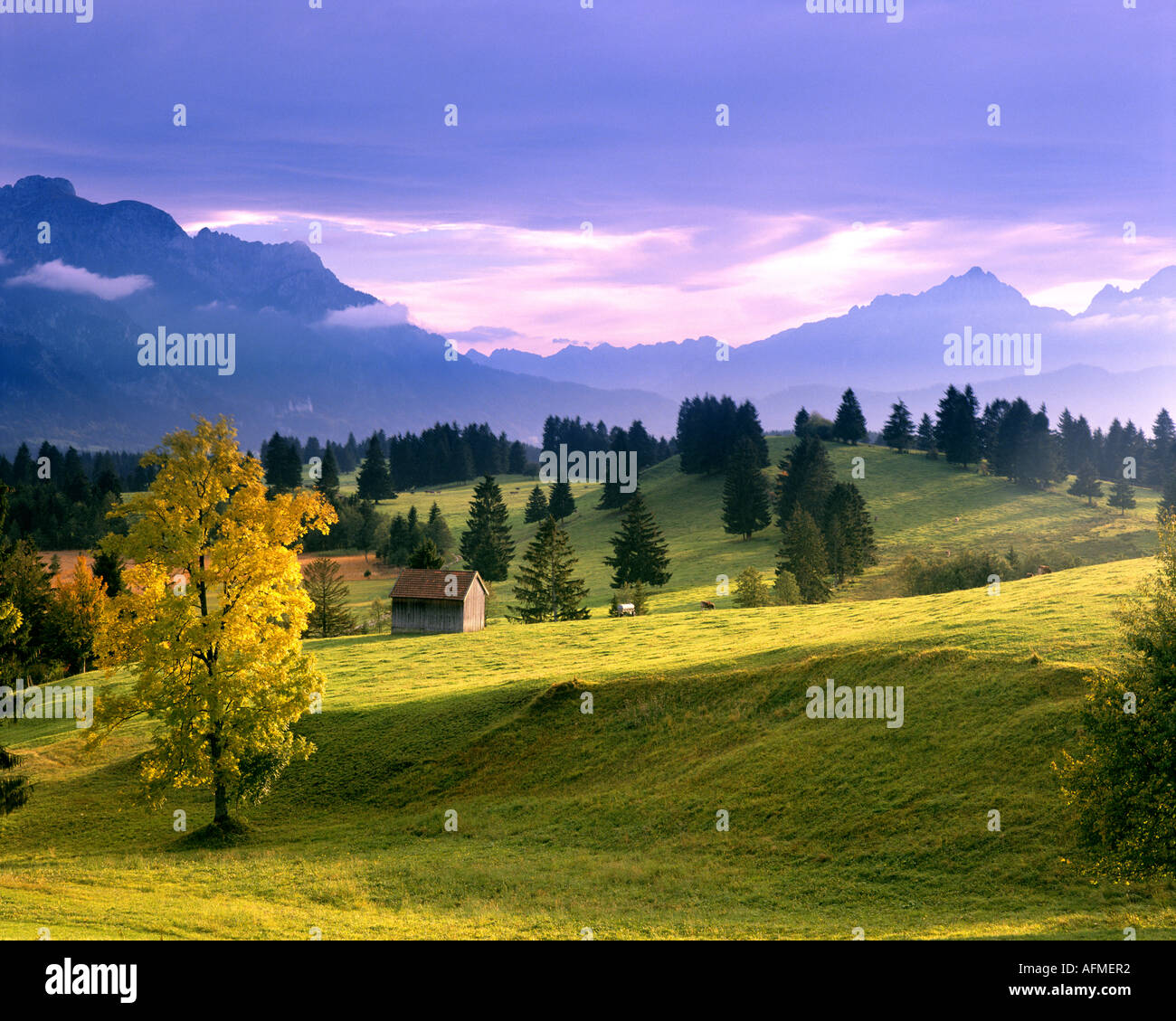 DE - BAVARIA:  Landscape near Trauchgau in the Allgäu Stock Photo