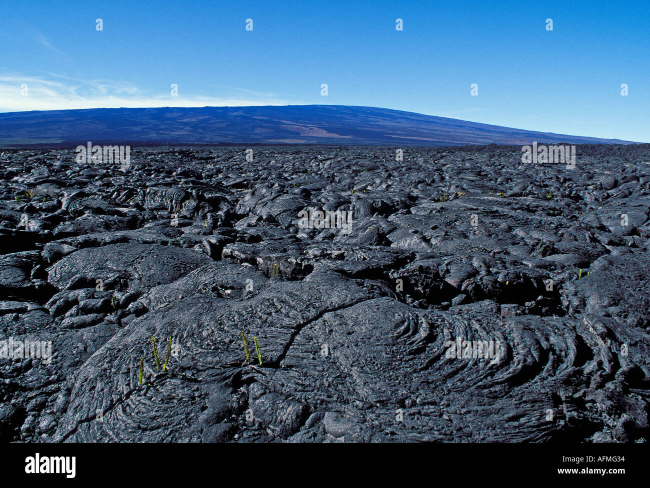 Pahoehoe lava flow and Mauna Loa a shield type volcano from Saddle Road