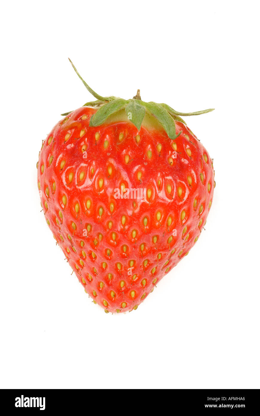 Strawberry Erdbeere Stock Photo