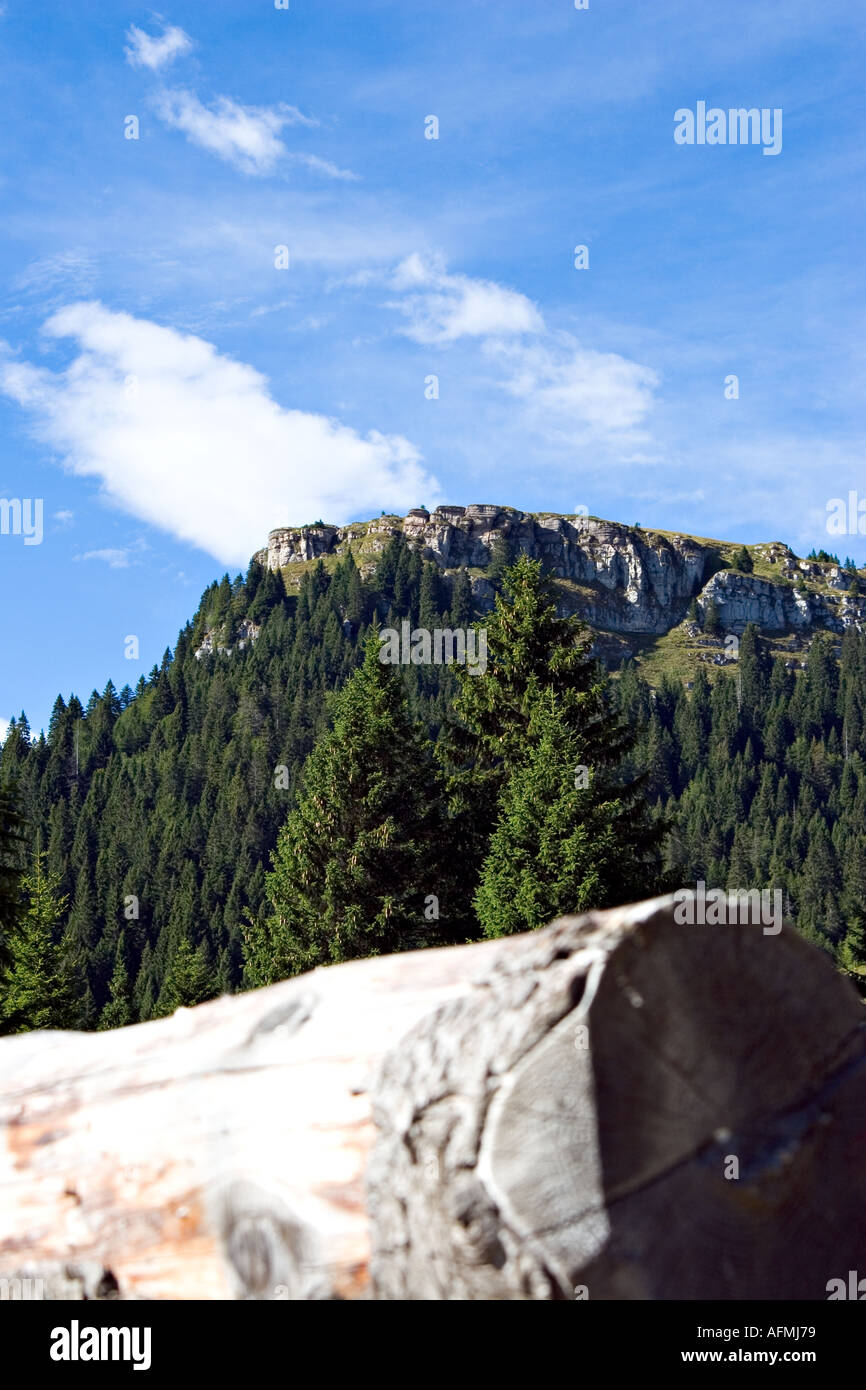 mountain lanscape with clouds and smooth blue sky with trunk tree Stock Photo