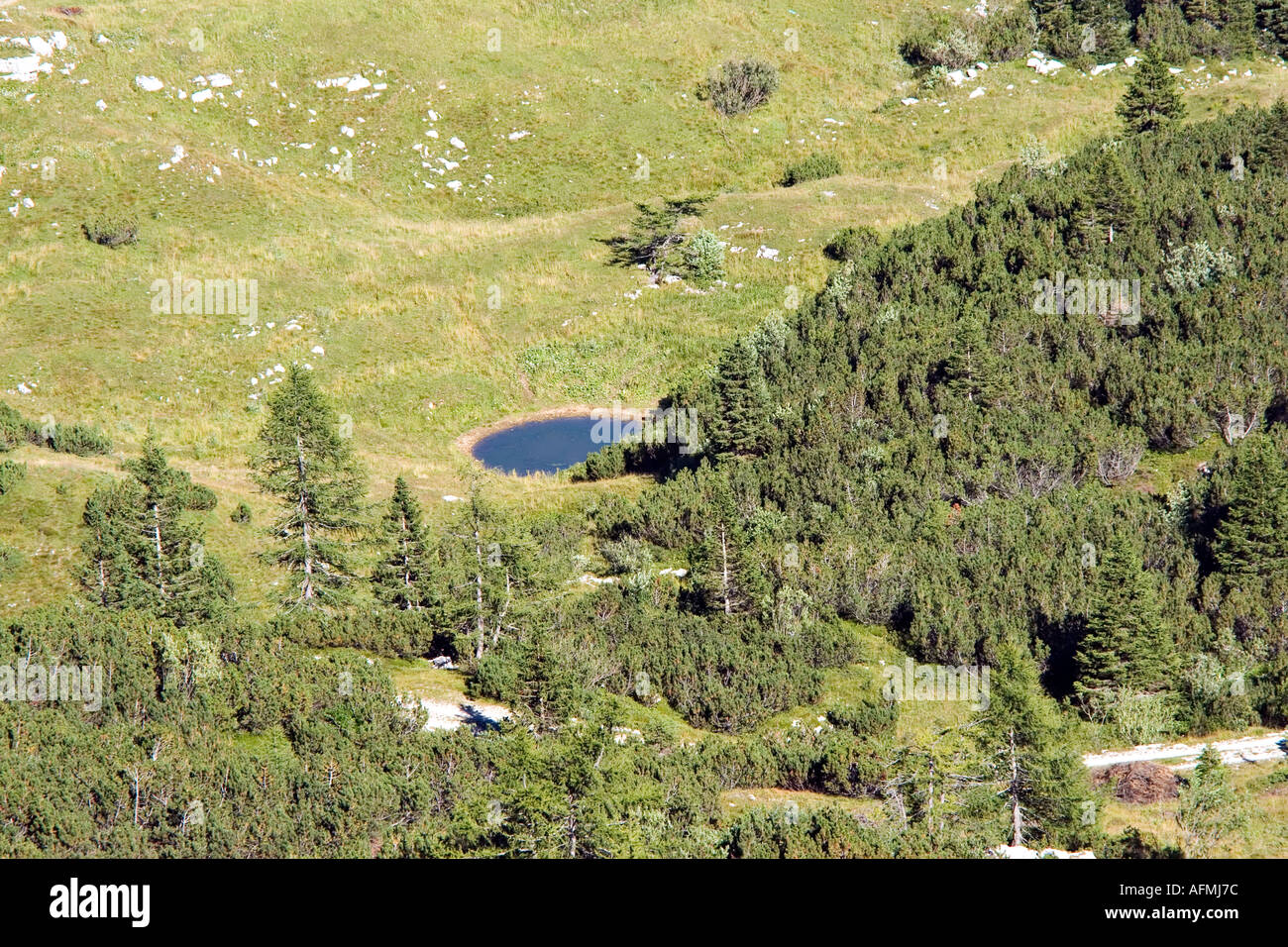 lanscape little lake of mountain Stock Photo