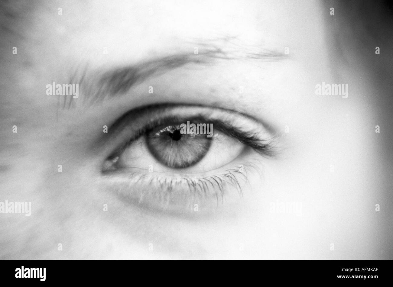 Human eye close up wide pupil Black and White Stock Photos & Images - Alamy