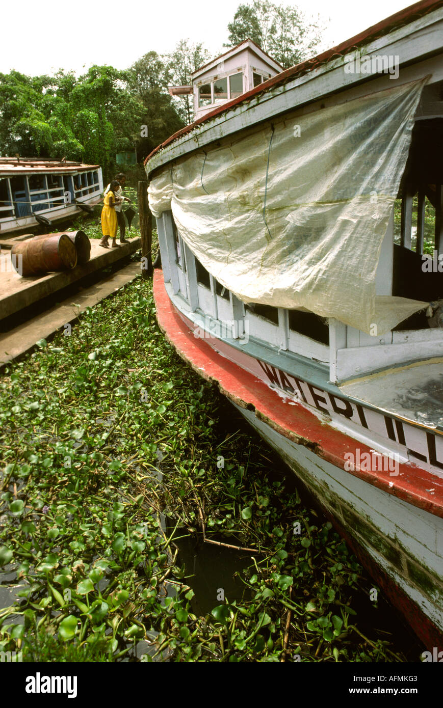 India Kerala Cochin transport water hyacinth choked ferry jetty Stock Photo