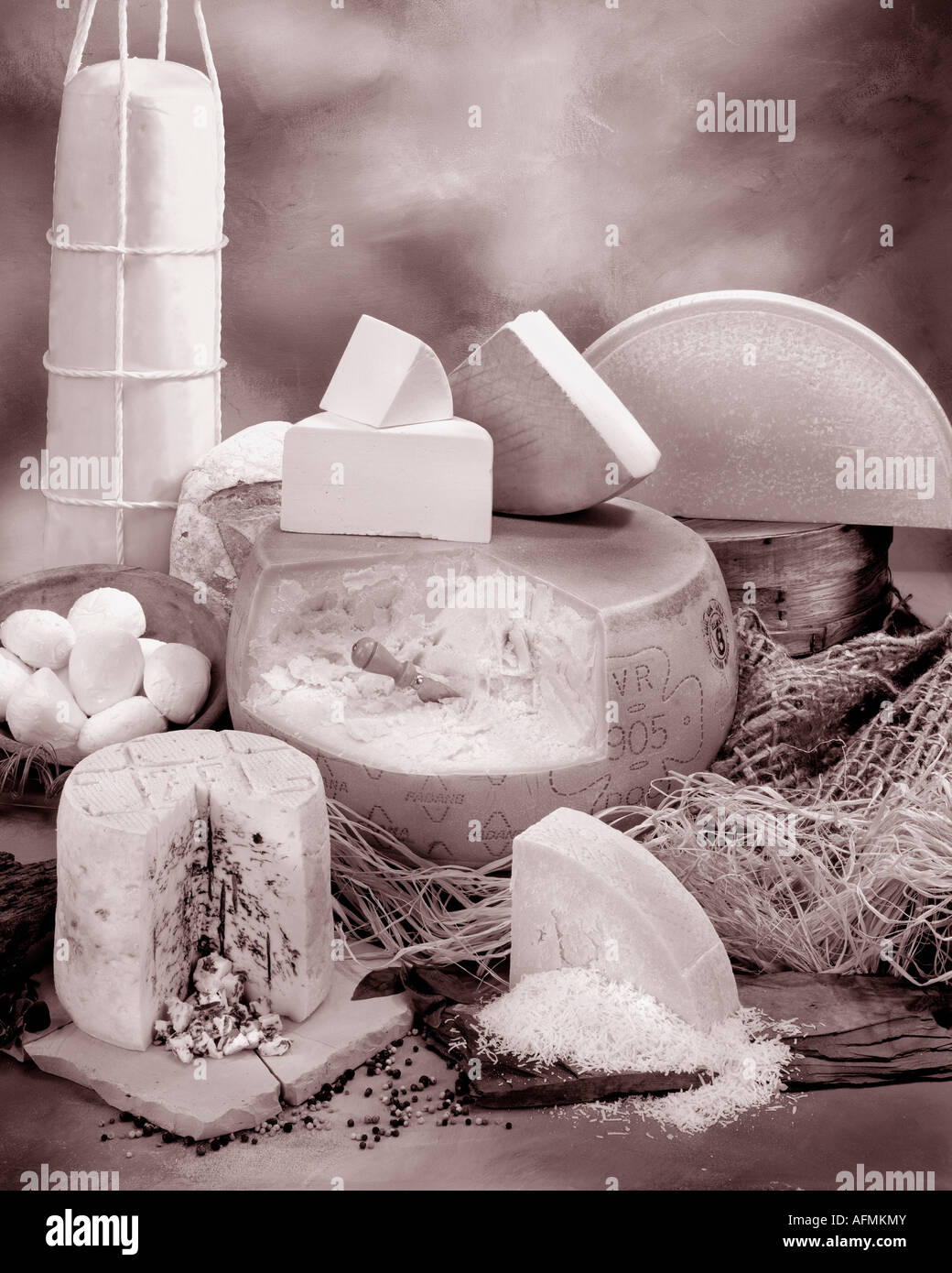 Italian Cheeses in group sepia photograph on warm toned mottled background. vertical  format, studio tabletop. Classic Image. Stock Photo