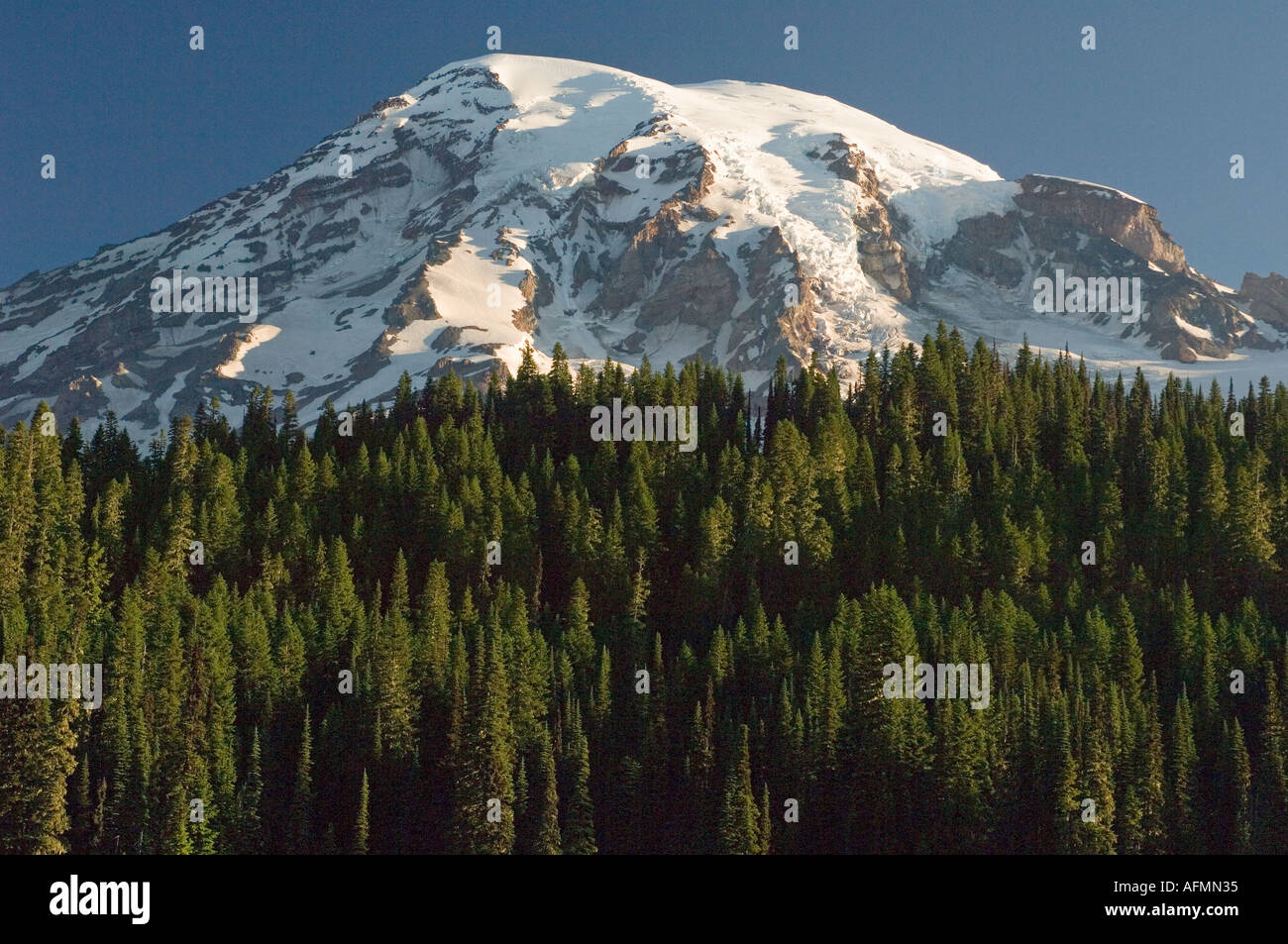 USA WASHINGTON, Cascade Range, Mount Rainier National Park, PARADISE area, Alpine forest below 14,410 foot summit Stock Photo