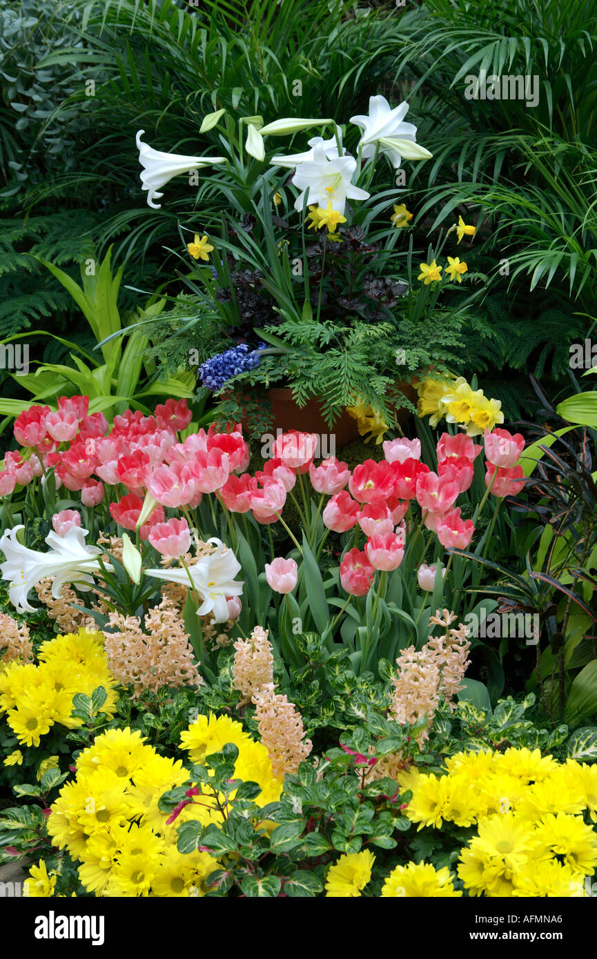 Indoor spring flower garden at the Conservatory of the Assiniboine Park