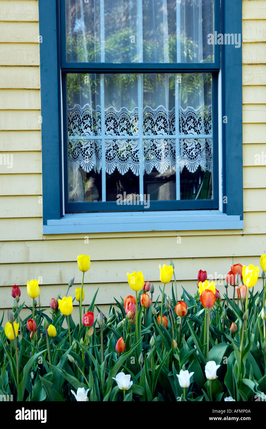 Tulips And Window At The Historical Dutch Village In Pella Iowa