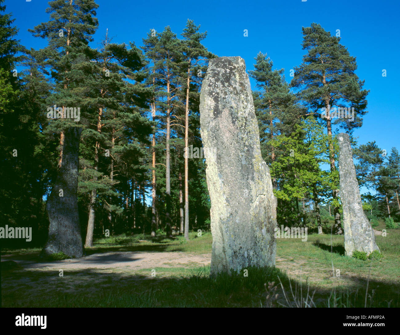 Peterson Malvina Church in Bjorketorp Sweden (Portrait) Date: Unknown RyaChurch_ruin_DSC01679 (SiteBuildingPlace) Date: Sep 2012 Location: old Rya Pettersson - Public Member Photos & Scanned Documents