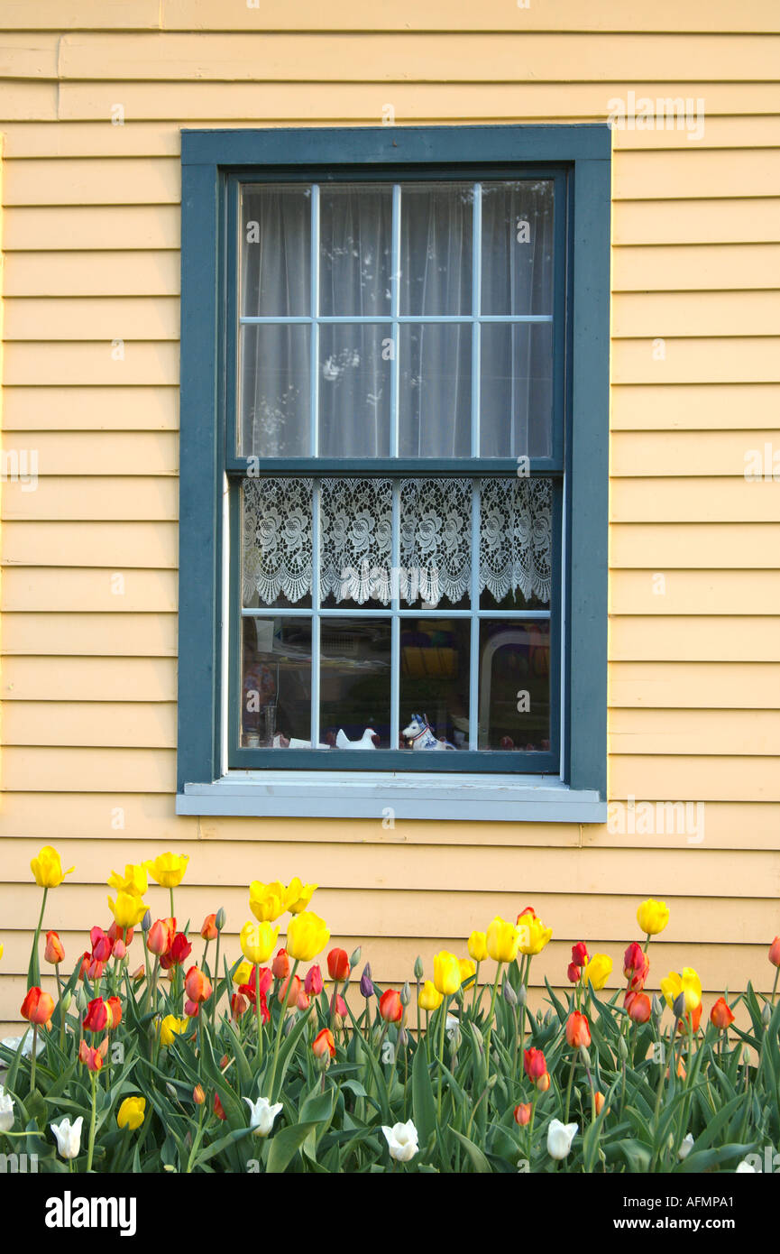A Cottage Window And Tulip Garden At The Historical Dutch Village