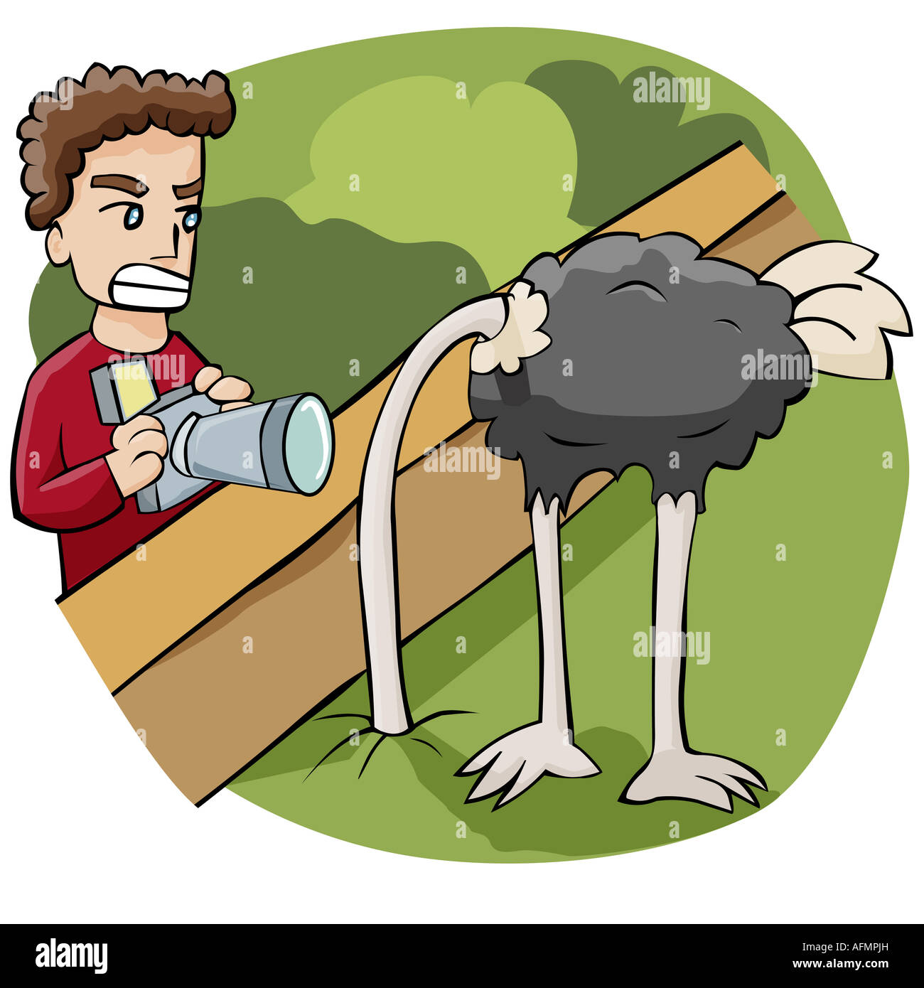 Man standing near an ostrich hiding its head in the ground Stock Photo ...