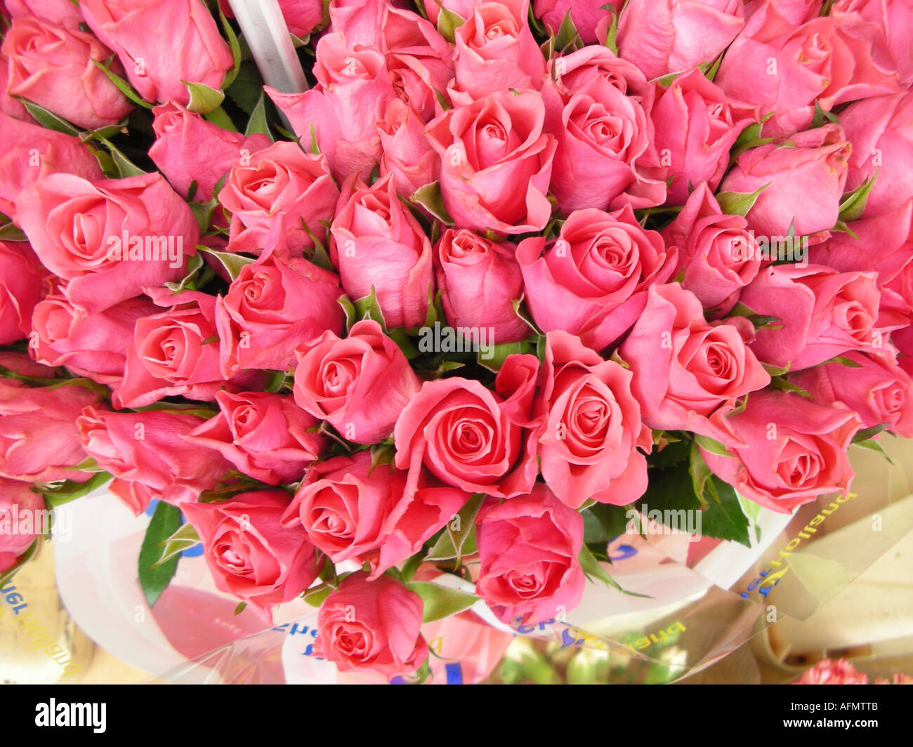 Market stall display of pink roses at florist's flower stall Stock Photo