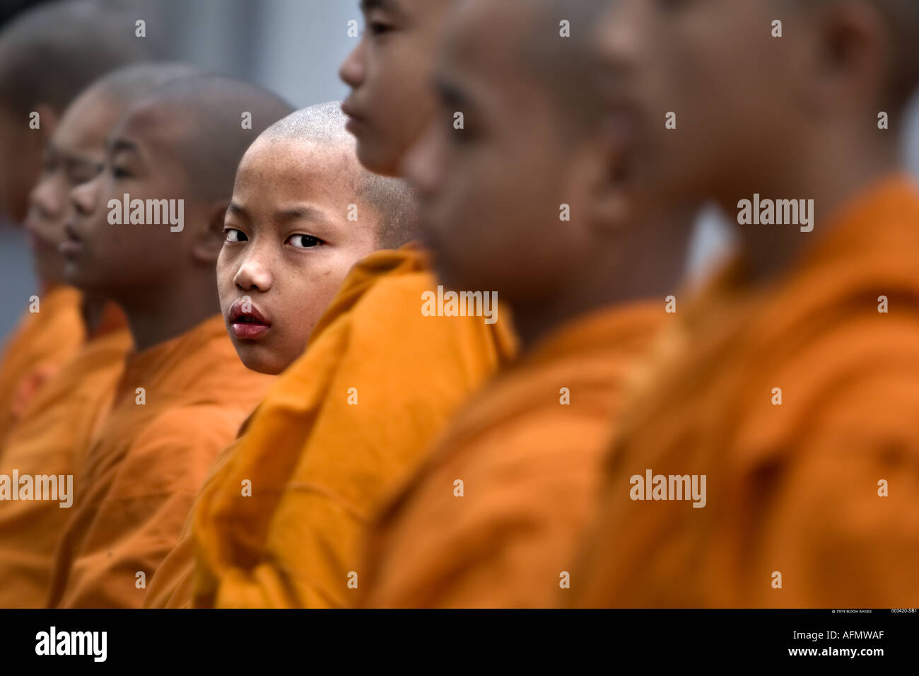 Young Buddhist monks in buddhist temple Mahabodhi Society Temple of Buddha Sarnath India Stock Photo