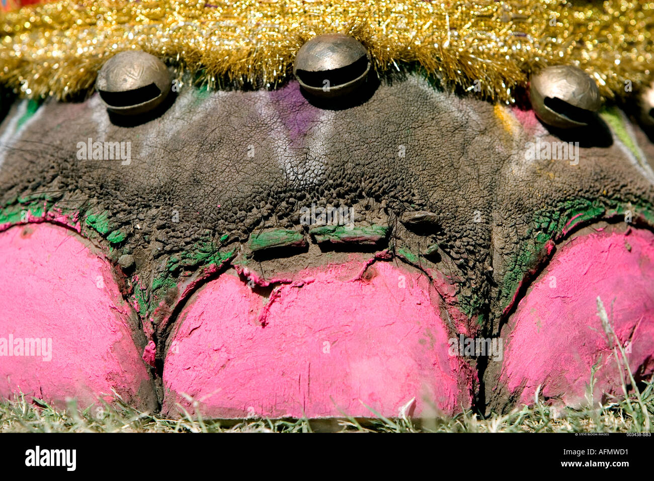 Elephant with toenails painted in preparation for the Elephant Festival Jaipur India Stock Photo
