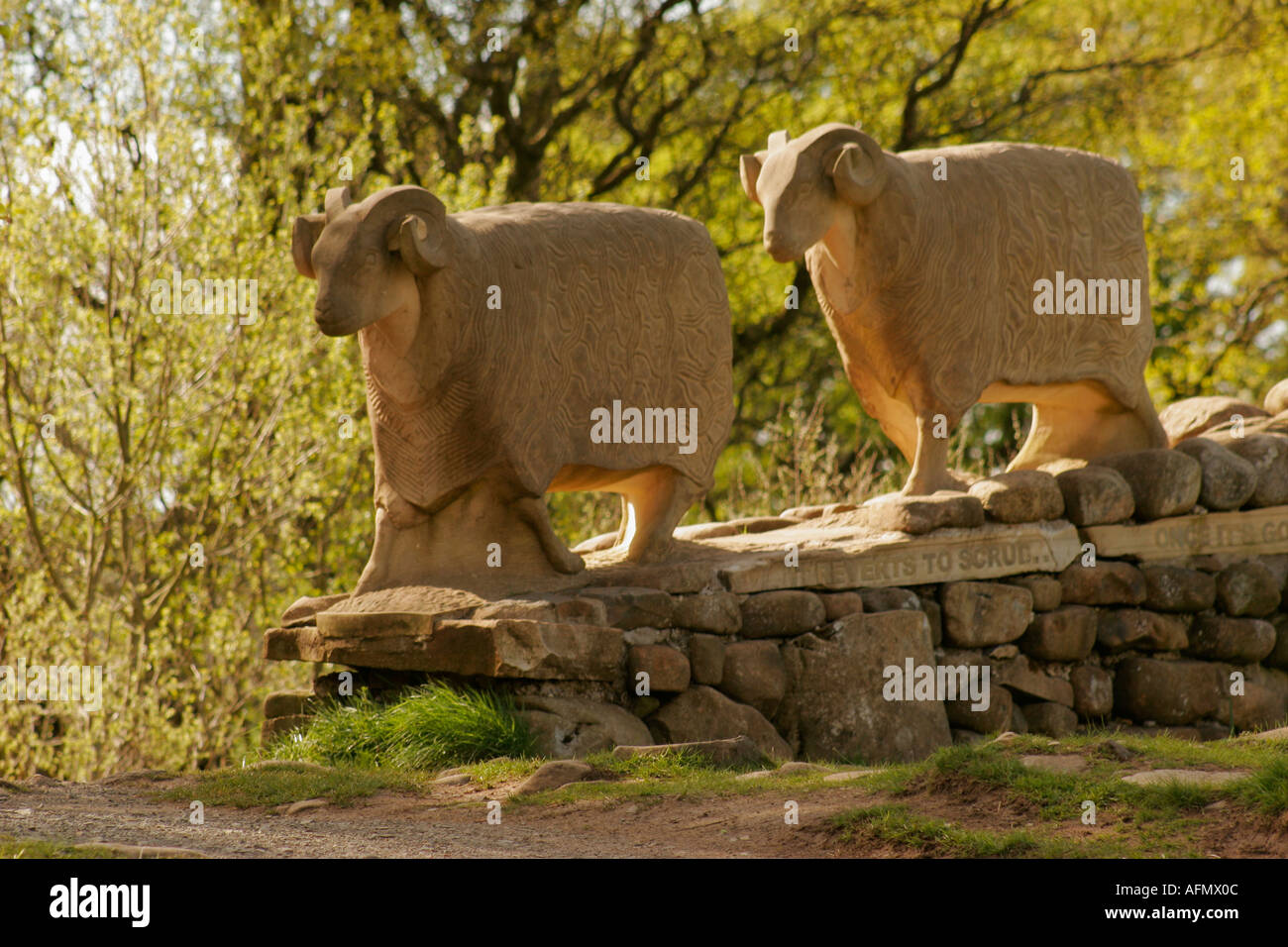 Stone Sheep Sculptures near Low Force Teesdale County Durham Stock