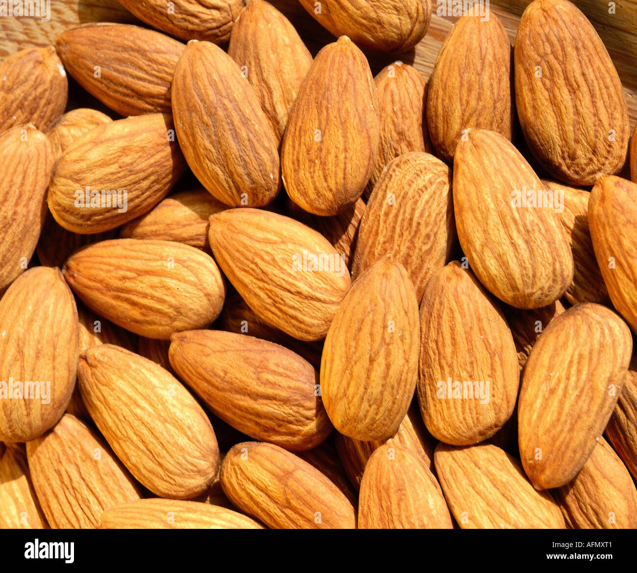 "botany, Prunus, "Almond" (Prunus dulcis), fruits, Prunoideae, nut