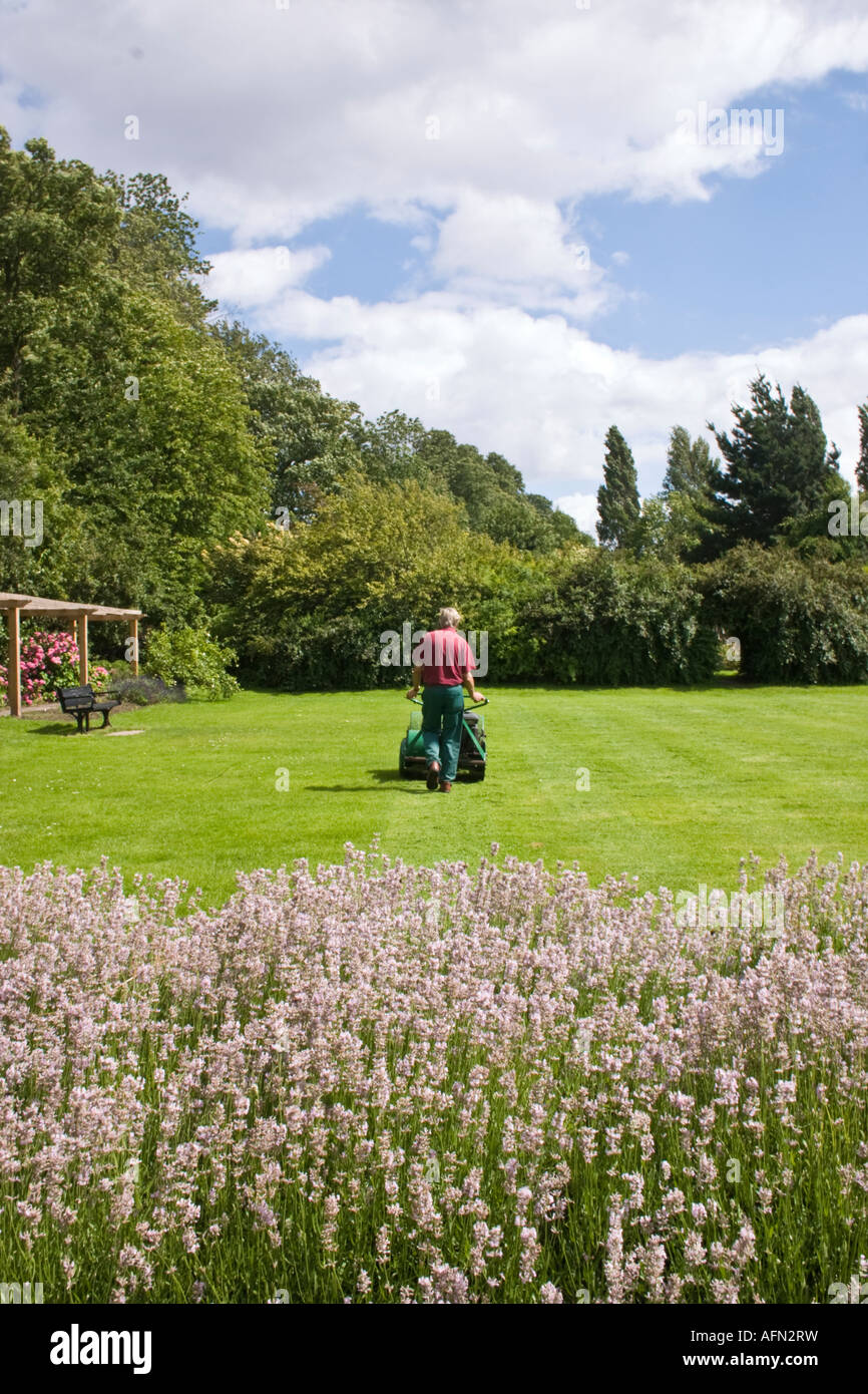 Beddington hires stock photography and images Alamy