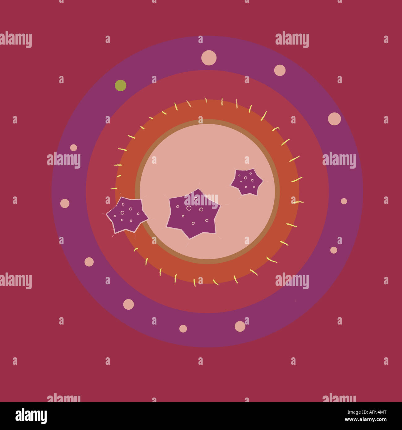 Three stars and the solar system Stock Photo - Alamy