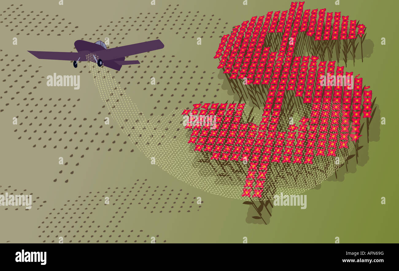 Airplane spraying fertilizer on a dollar sign in a field Stock Photo