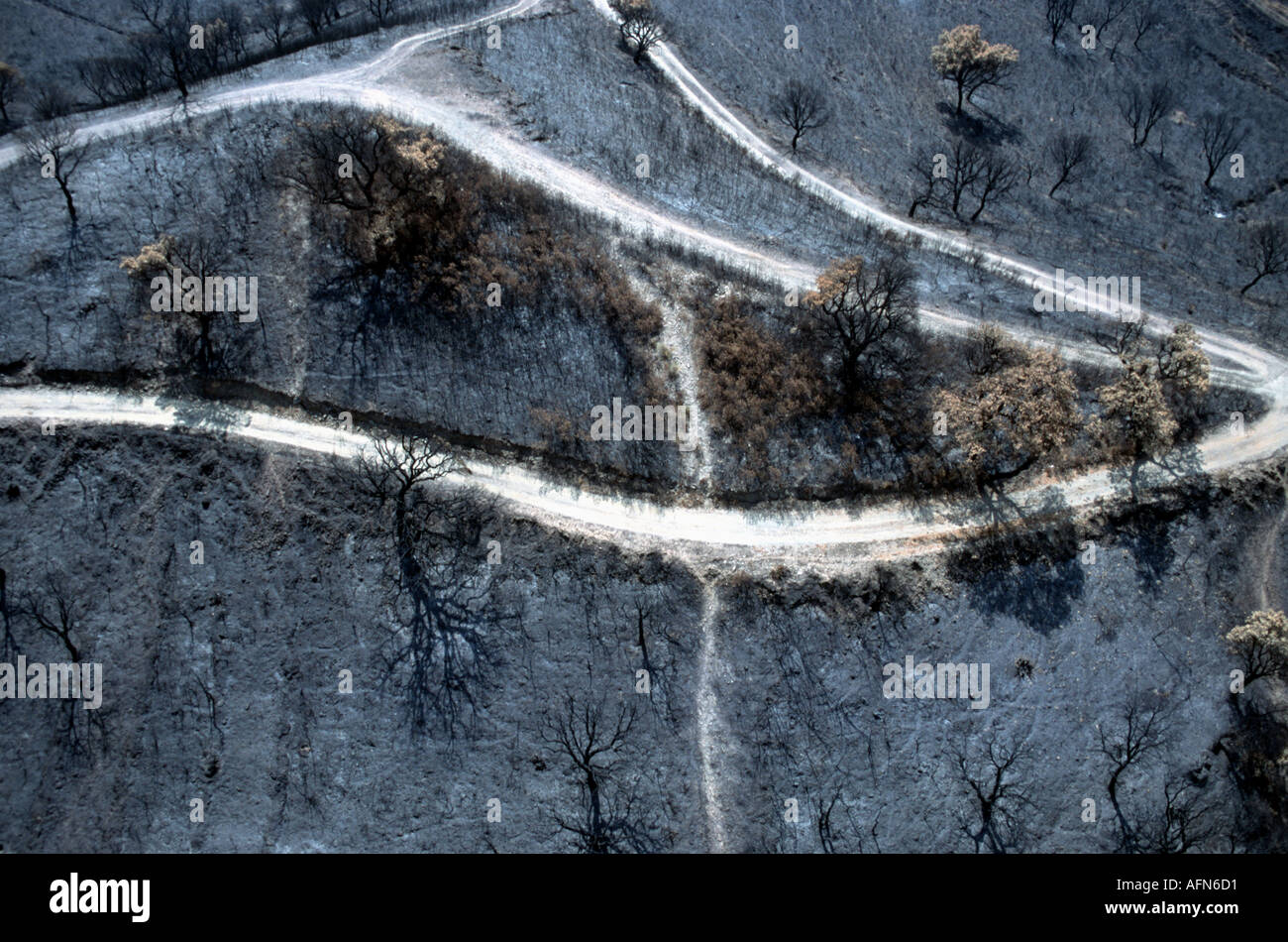 Aerial view of Spanish roads through burnt forest Stock Photo