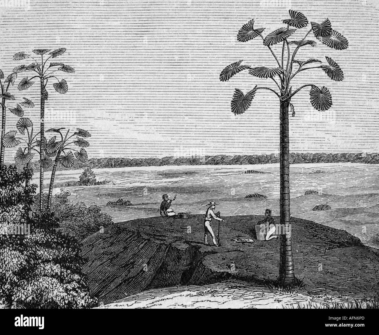Humboldt, Alexander von, 14.9.1769 - 6.5.1859, German naturalist, American expedition 1799 - 1804, in the Llanos 1800, engraving, 19th century, South America, Venzuela/Columbia, travel, science, , Stock Photo