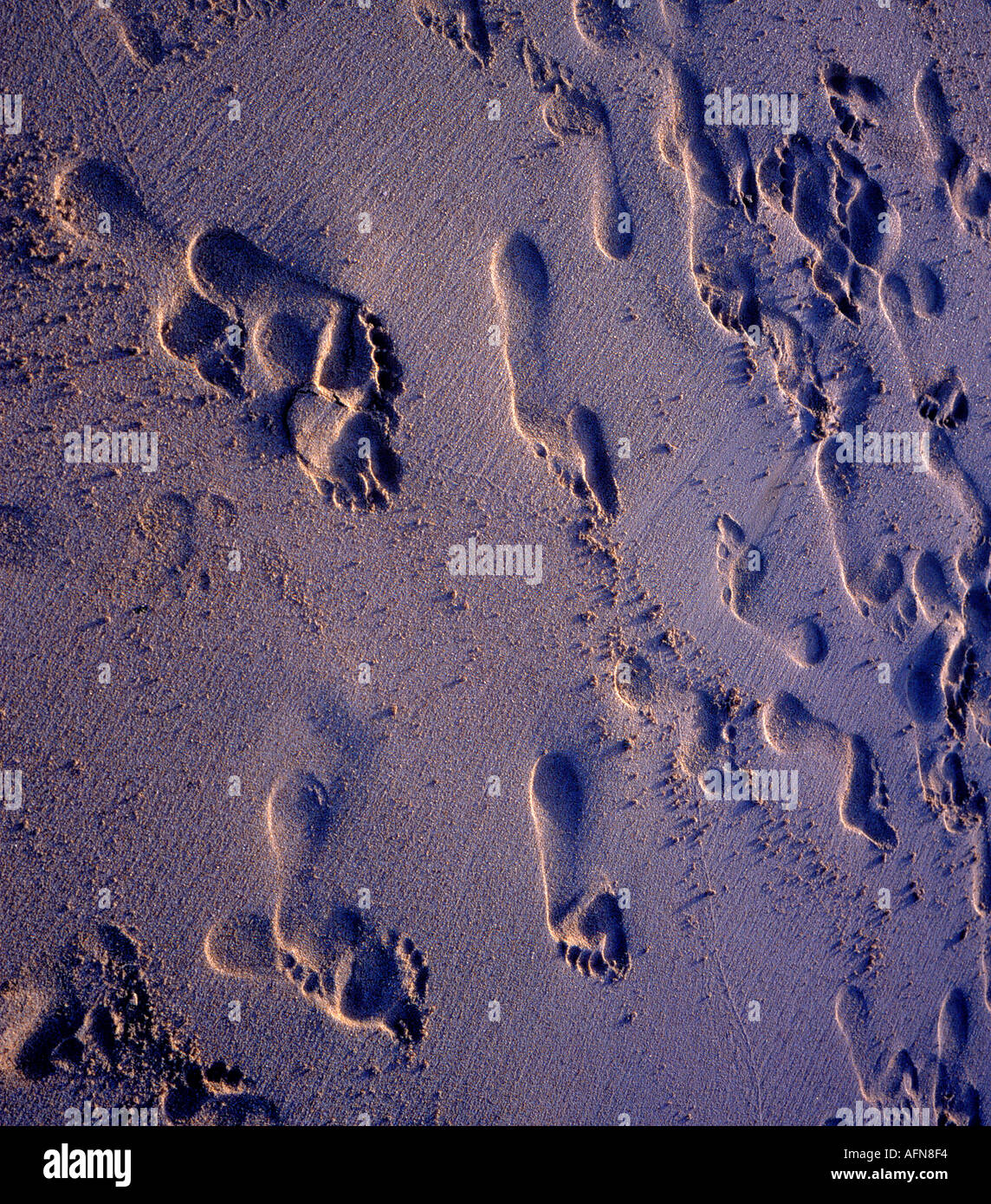 Fuerteventura footprints in sand at beach. Photo by Willy Matheisl Stock Photo