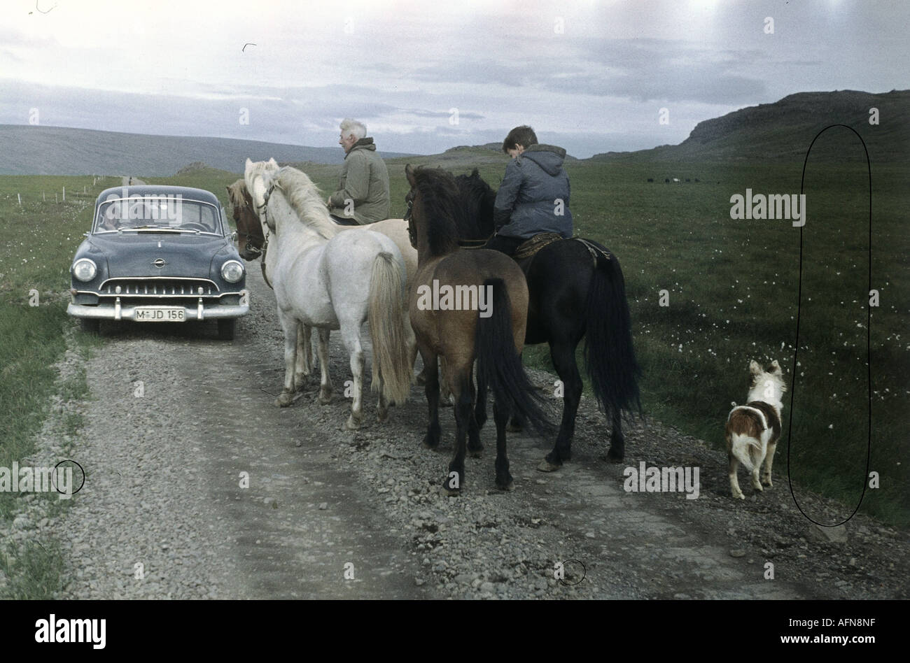tourism, Iceland, German tourists meet locals, 1957, Stock Photo