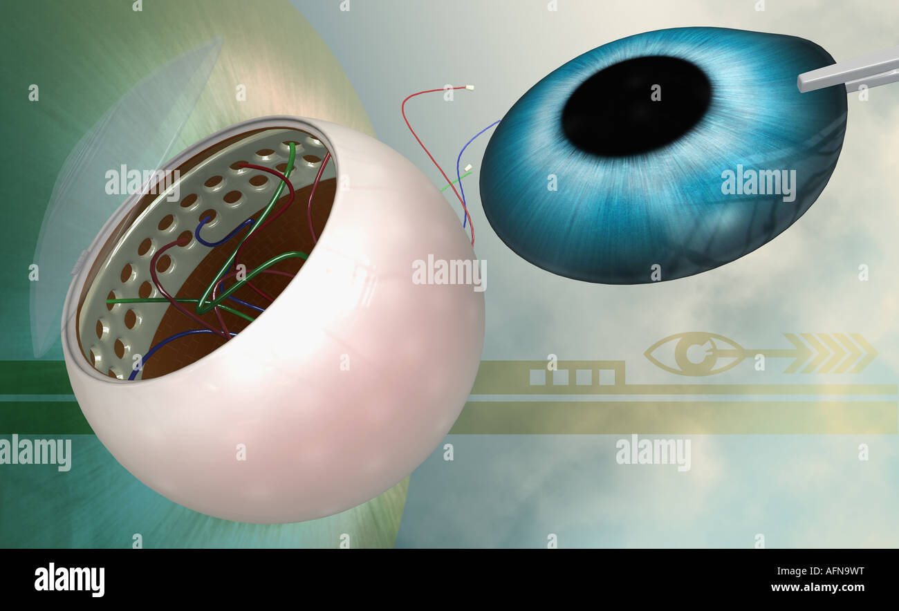 Human eye lens Stock Photo Alamy