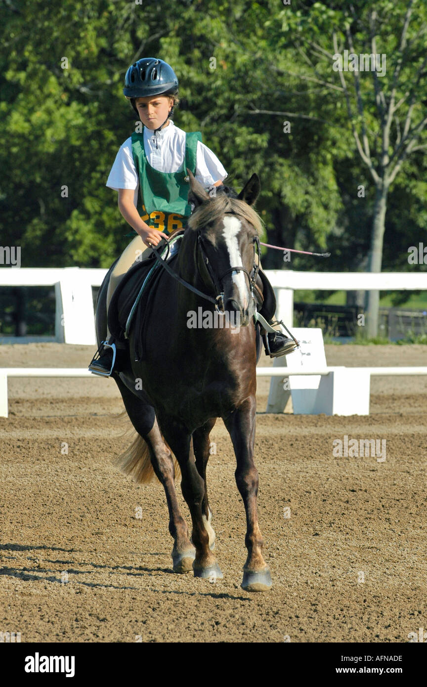 Equestrian event held at Kentucky Horse Park Lexington KY Stock Photo Alamy