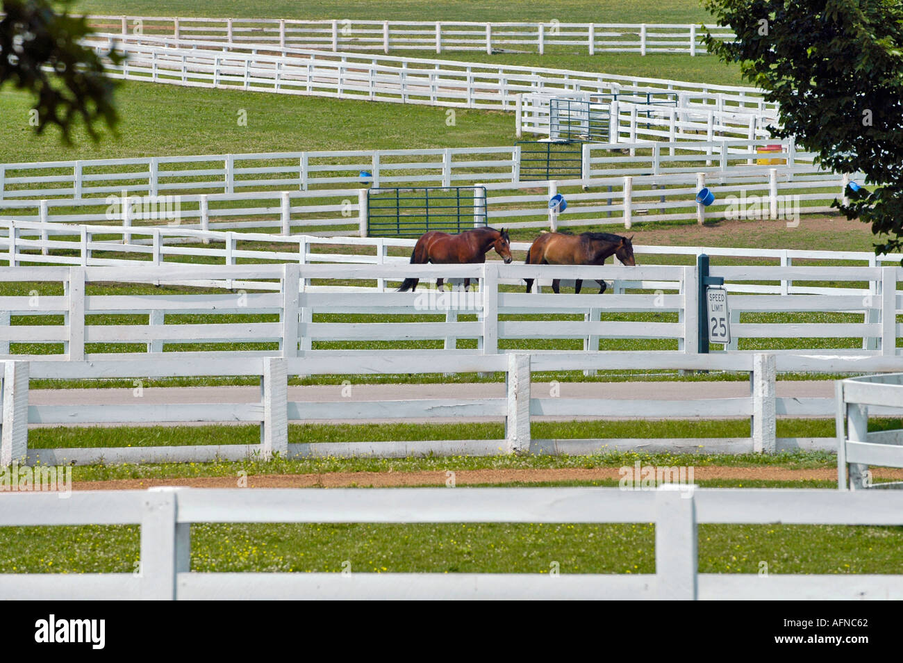 Kentucky Horse park and surrounding horse farms in Lexington KY Stock