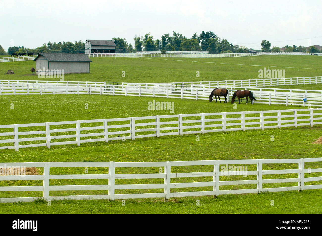 Kentucky Horse park and surrounding horse farms in Lexington KY Stock