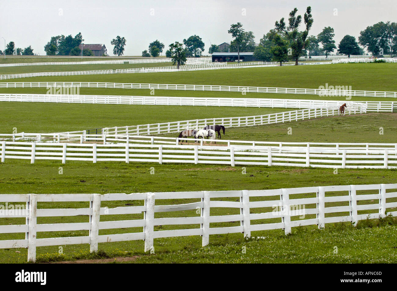 Kentucky Horse park and surrounding horse farms in Lexington KY Stock Photo Alamy