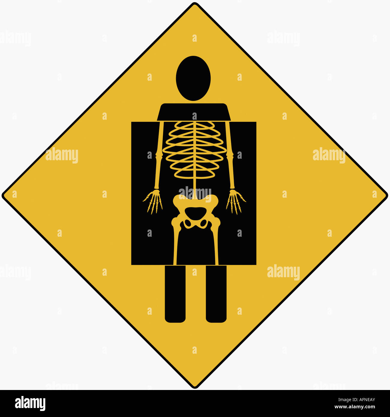 Ray showing human skeleton Stock Photo Biology Diagrams