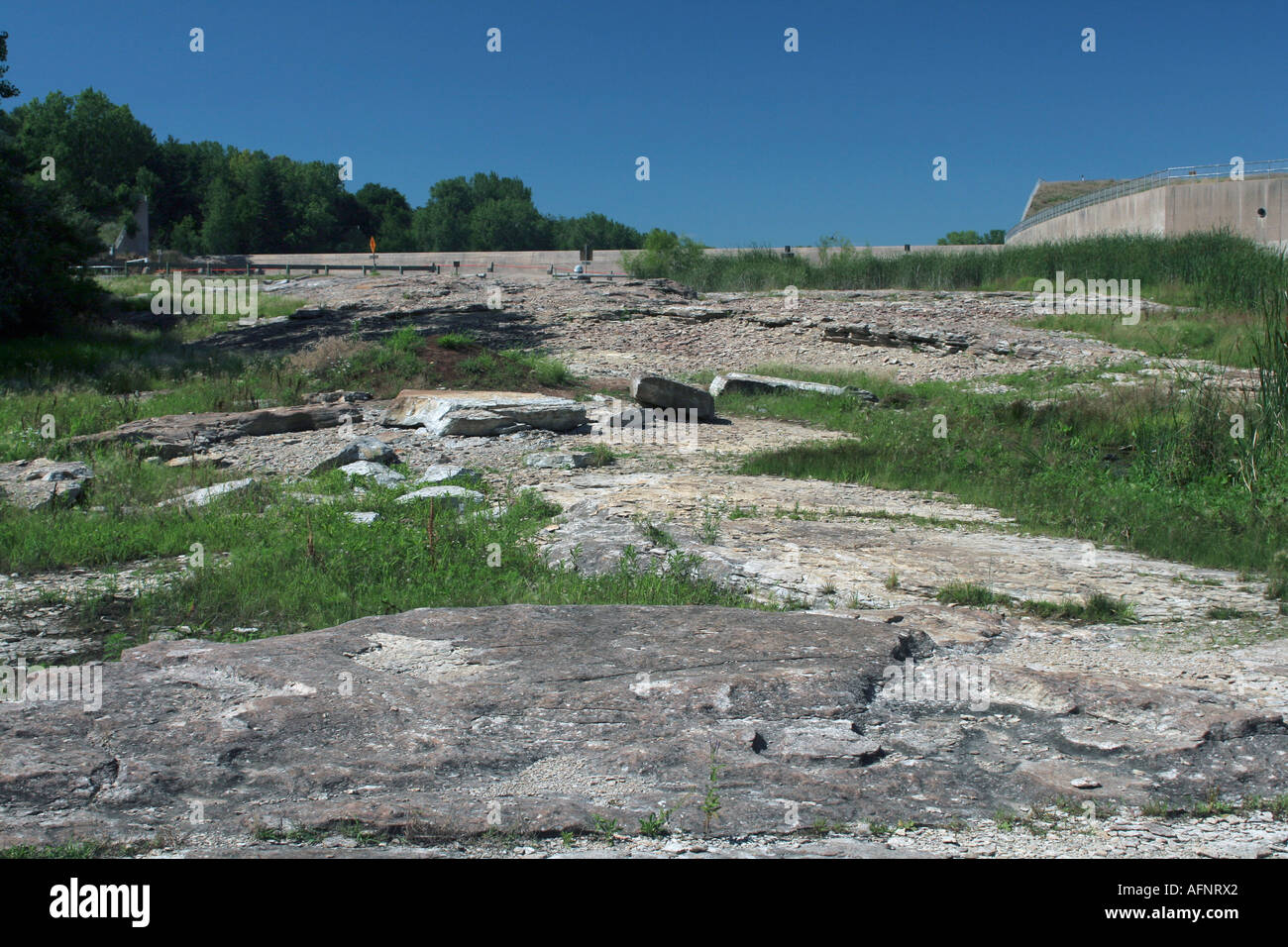 Devonian fossil hires stock photography and images Alamy