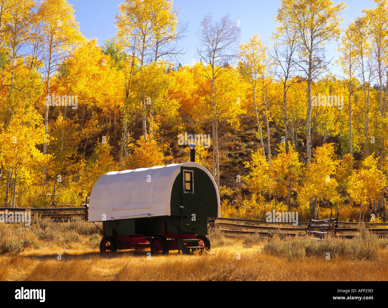 Sheep wagon hi-res stock photography and images - Alamy