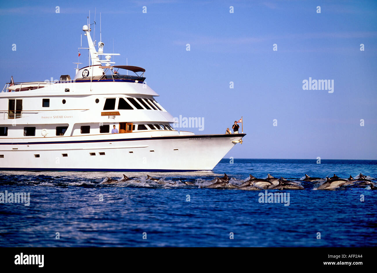 Mexico Baja Sea of Cortez people viewing dolphins from small cruise ship Baja California Stock Photo