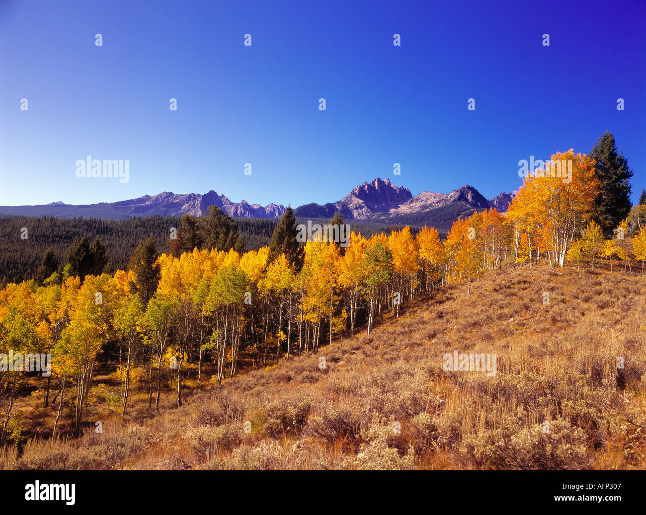 USA Idaho Scenic Sawtooth mountain peaks with colorful aspen groves in autumn colors Stock Photo