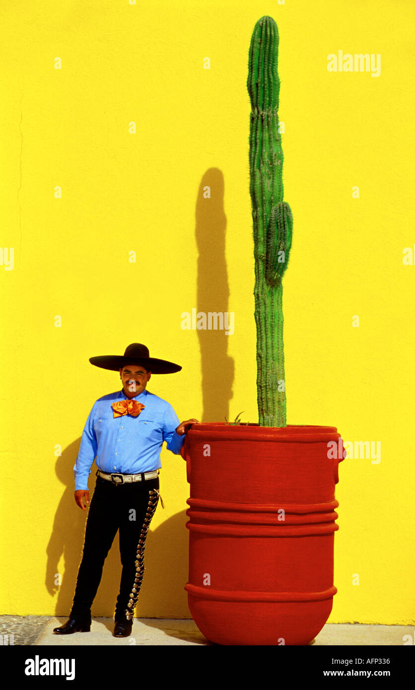 MEXICO, Cabo San Lucas, colorful mexican cowboy standing near tall cactus plant with bright yellow background. Stock Photo