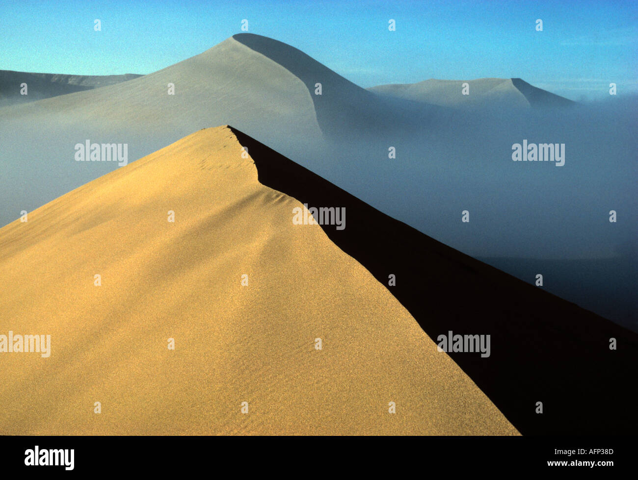 USA Idaho Bruneau Sand Dunes State Park the highest single dune in North America Owyhee Canyonlands Stock Photo