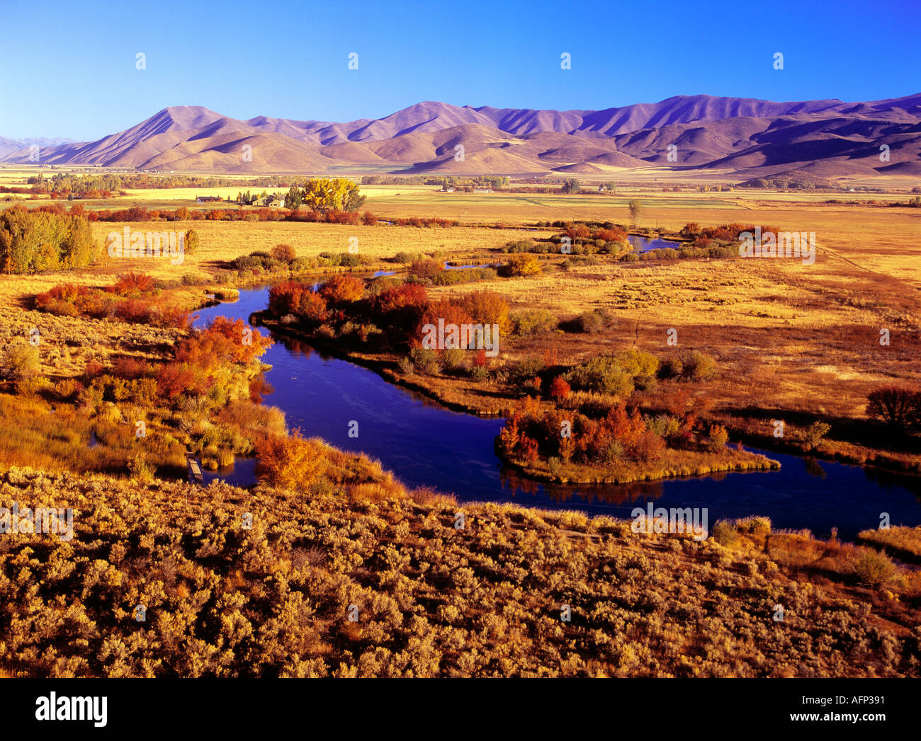 Idaho Silver Creek Preserve World class fishery in autumn colors Near ...