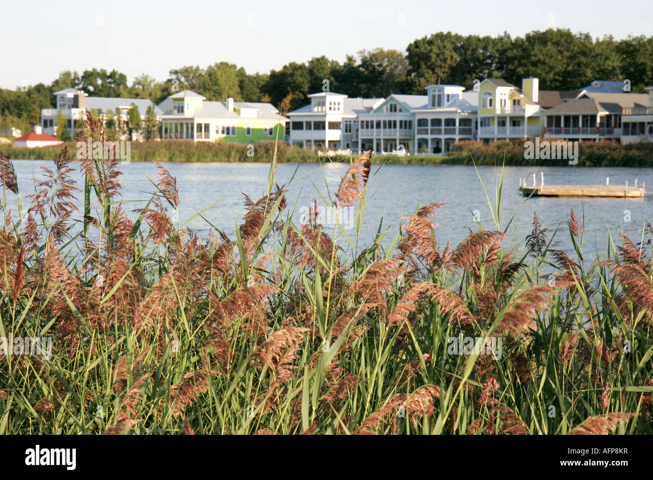 Indiana LaPorte County,Michigan City,Beachwalk Resort Community,marsh