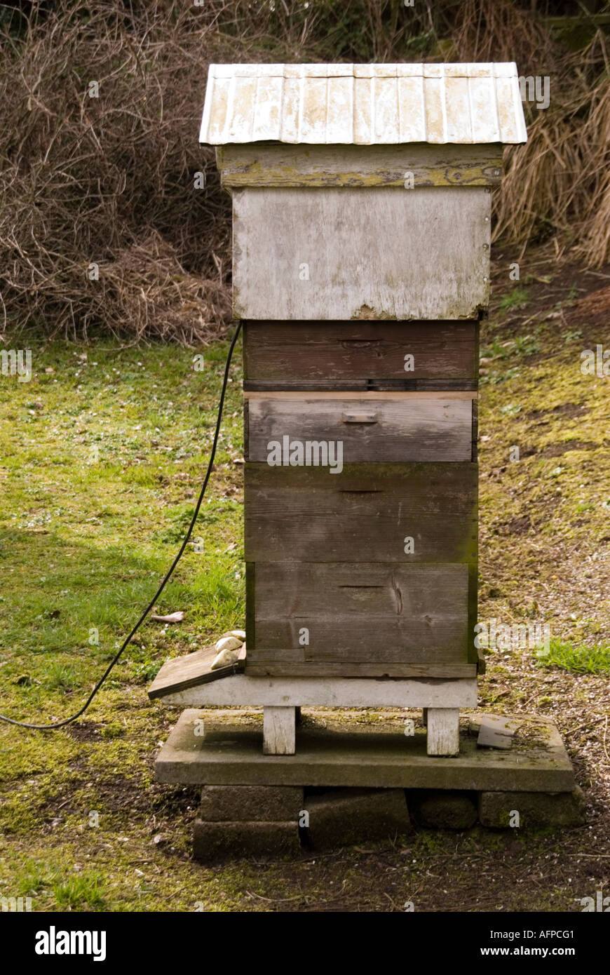 An experimental beehive with concrete bases in Broughshane N Ireland vertical Stock Photo Alamy