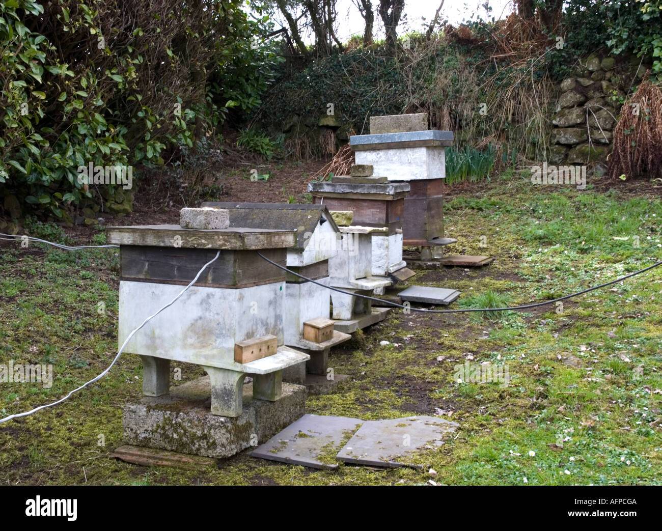 Beehive garden ireland hires stock photography and images Alamy