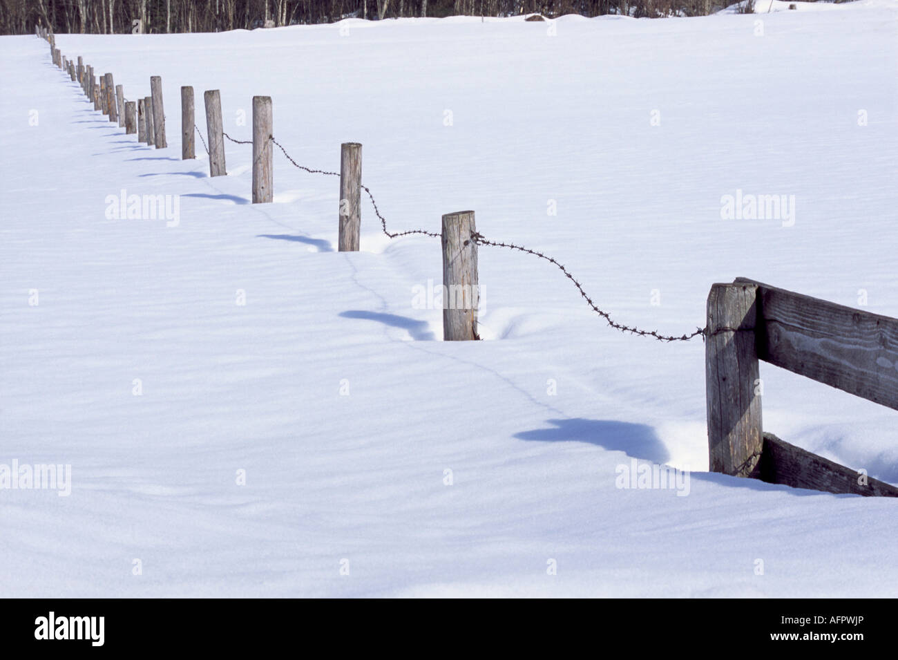 Barbed Wire Fence in Snow covered field in Austria Stock Photo - Alamy