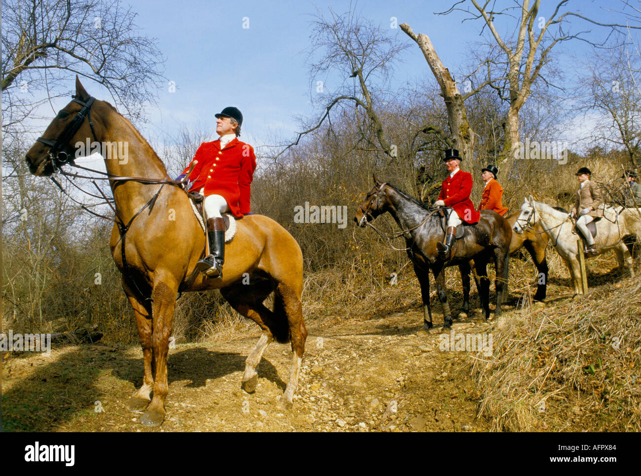 The Vale of White Horse Hunt Gloucestershire   Huntsman. The Master of the hunt.Master of Foxhounds  1980s 1985 HOMER SYKES Stock Photo